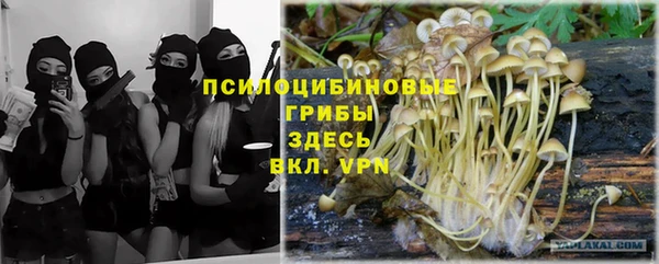 спайс Алзамай