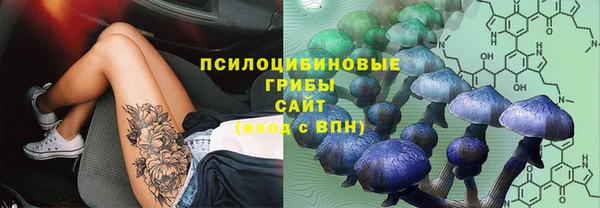 спайс Алзамай